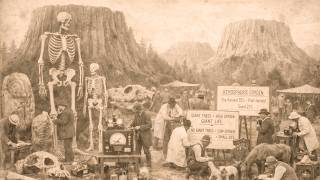 Famous When the Giant Trees Were Cut Down the Oxygen Dropped — Everything Alive Got Smaller Profile