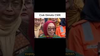 Seperti ini lah pesona Cwk di mata CWK 🗿