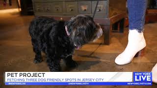 Dog Friendly Spots in Jersey City