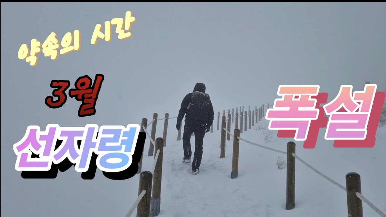 3월이면 어김없이 쏟아지는 폭설 / 폰으로 담는 풍경 / 선자령 / 춘설 / 눈꽃산행
