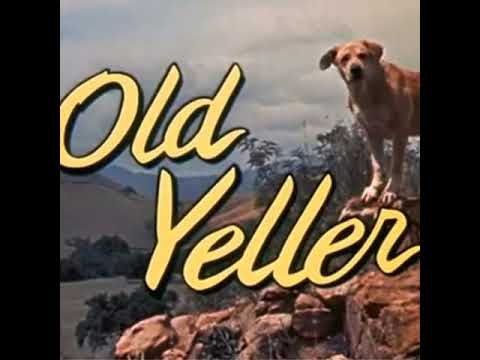 Joji - Old Yeller (1 HOUR)