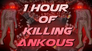 Slaying Ankous | Testing OSRS Wiki Money Making Methods
