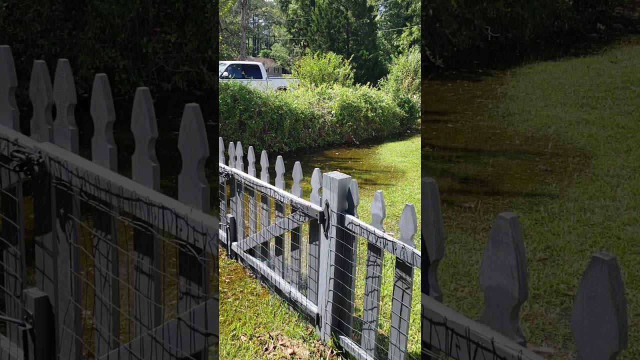 Flooding Video of 172 Woodville Cir. YouTube