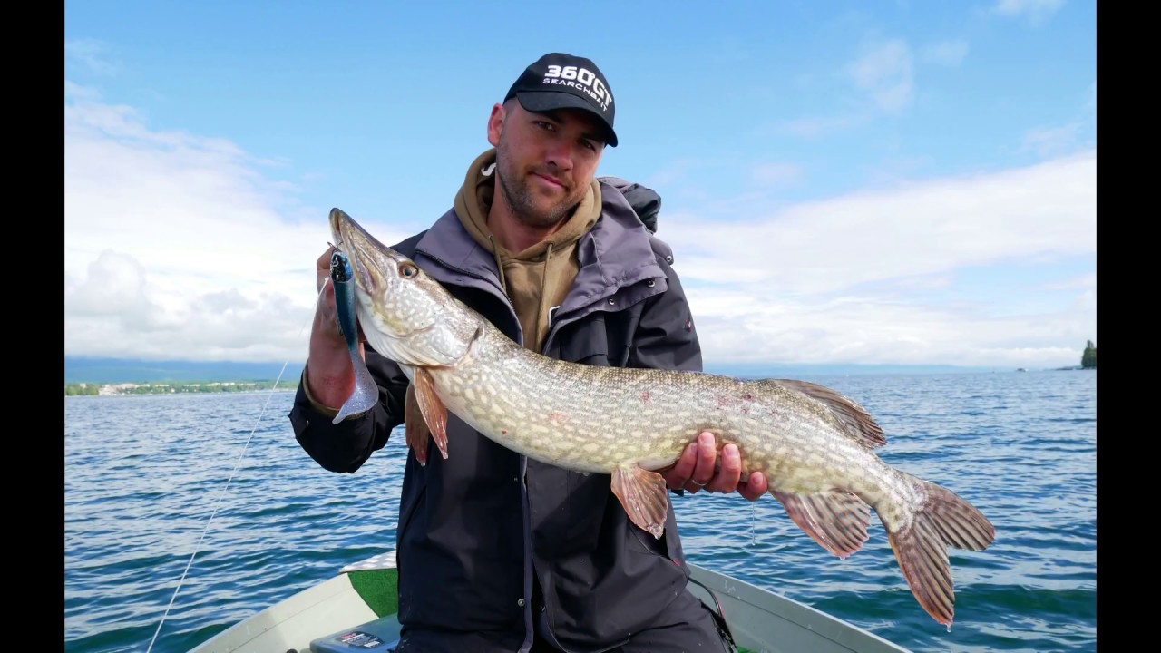 Pêche du brochet au lac Leman YouTube