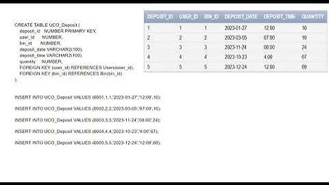 Database project Presentation