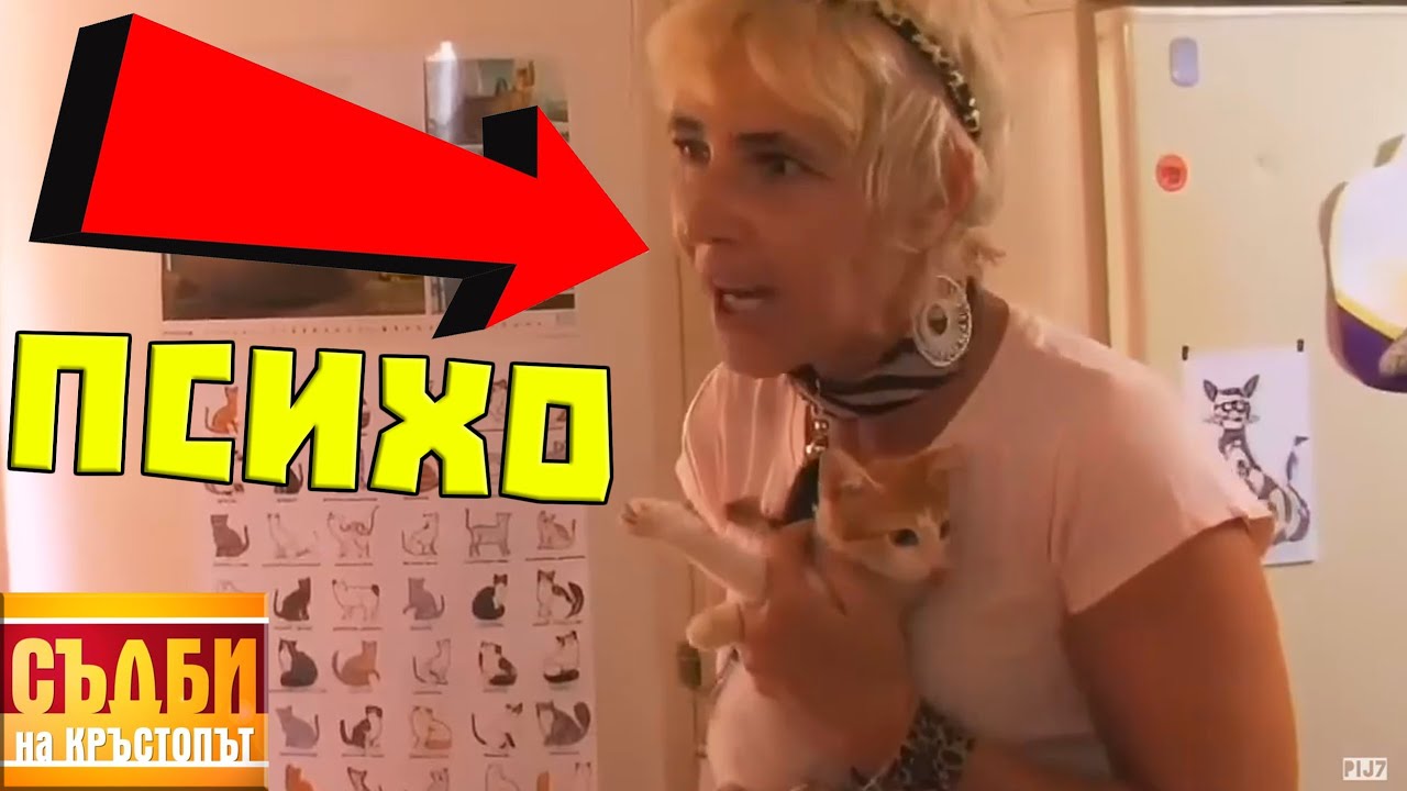 МИ*ДИЛ на*ко*ан И3*ОД бо*лук ГЛЕДА 45 КОТКИ у ТЕХ!