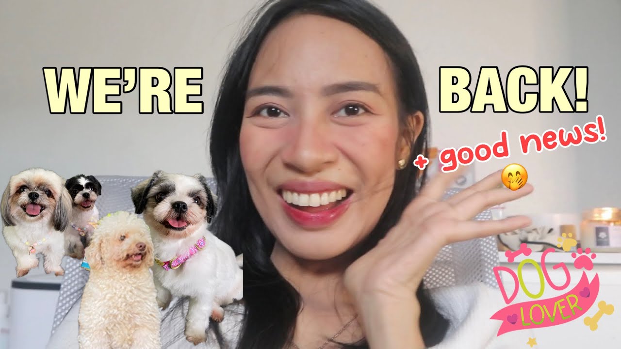 why-did-we-stop-uploading-videos-on-youtube-quick-update-youtube