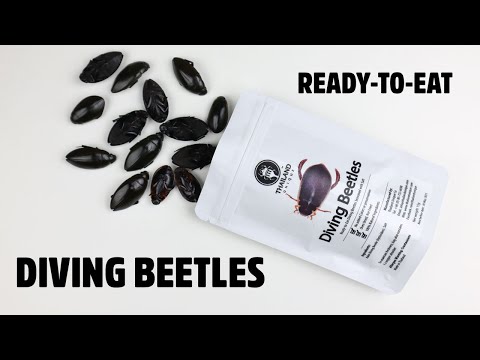Ready-to-Eat Diving Beetles - Bugs you can eat in Thailand - video from Thailand Unique