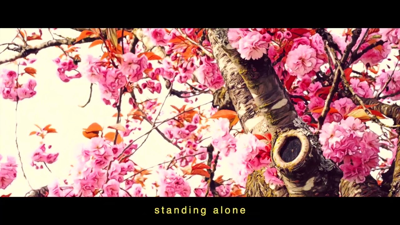 ash major - understand