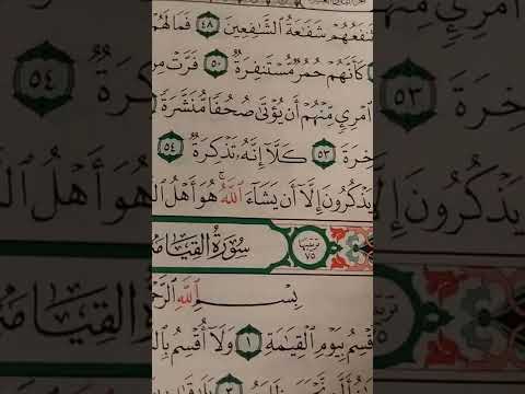 ما معنى كلمه حمر قسوره سورة المدثر 