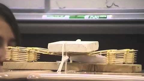 ToothPick Bridge Project  Pt  1
