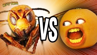 AO vs Murder Hornet!!!