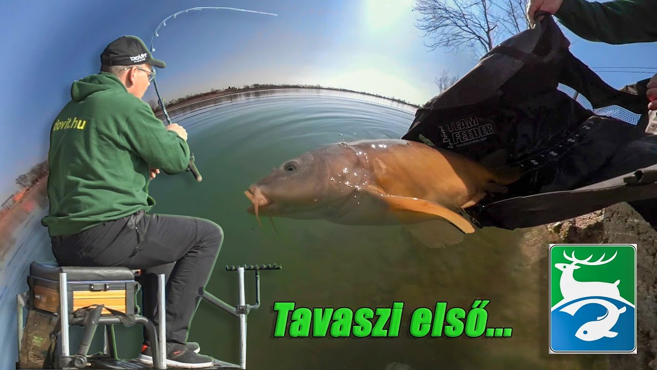 DOVIT METHOD FEEDER - Tavaszi első...