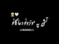 pashto new black screen poetry||pashto shayari black screen||pashto poetry
