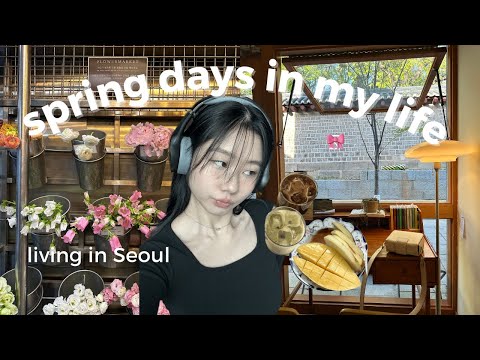 Spring days in Seoul 💛🐝🌷 doing a colour analysis, caricature, tulips & cherry blossom