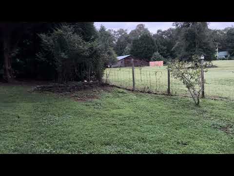 Southern Prepper1