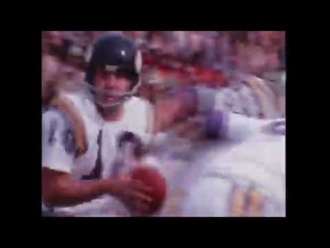 1973 Minnesota Vikings