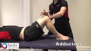 Bucks New University Hip Muscle Tests - year 1 SL442