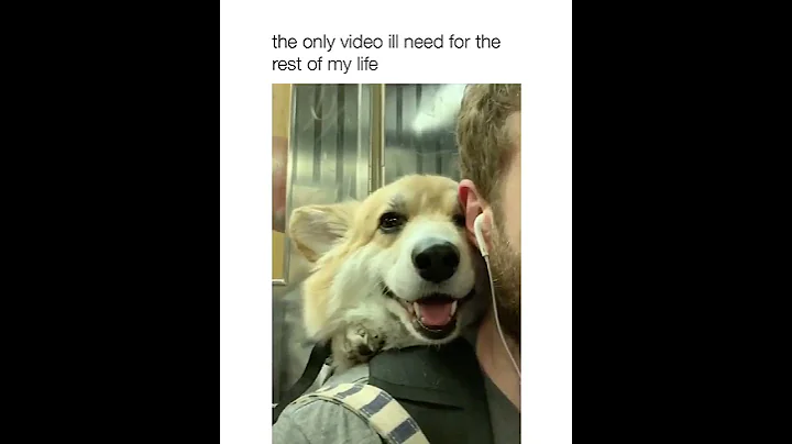 this is the content i signed up for