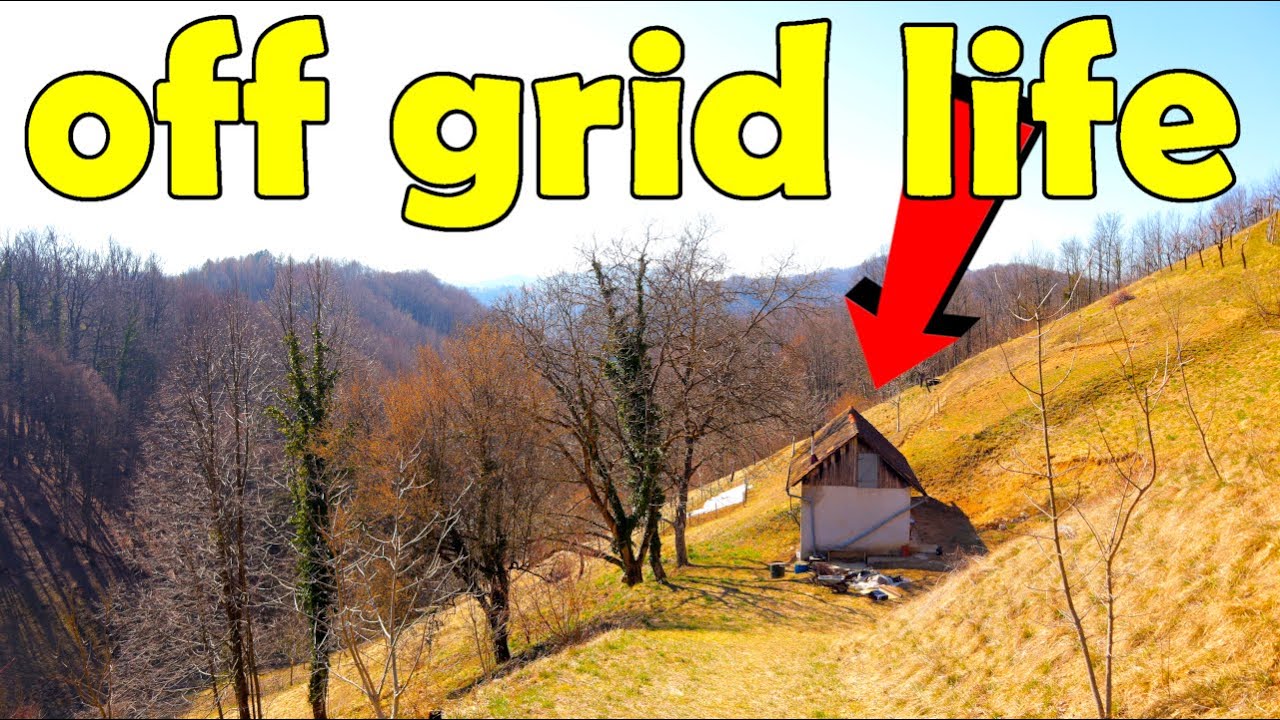 A Winter Day at the Cottage, My OFF GRID Cabin Life (Story 17) - YouTube