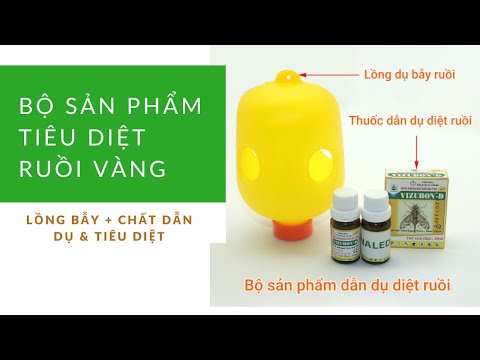 Video Lồng bẫy ruồi vàng kết hợp Vizubon - Giải pháp trị... - youtube