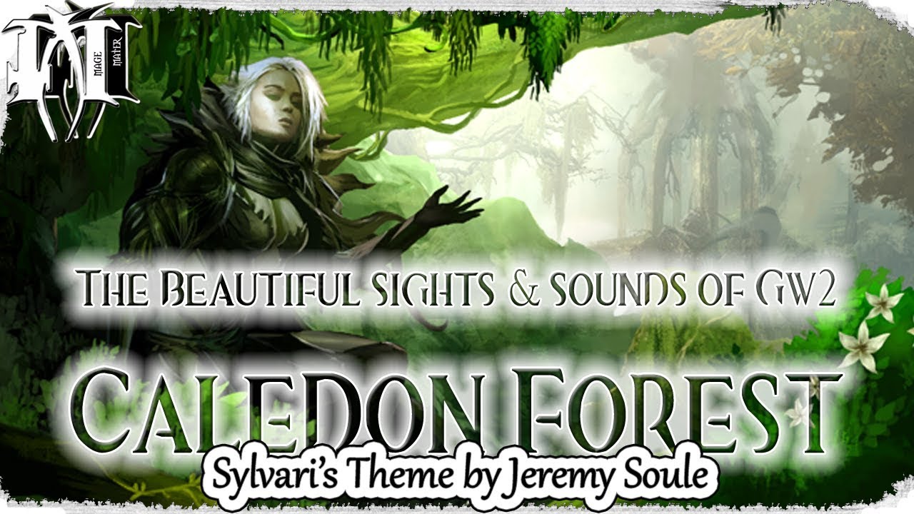 GW2 ✵Vistas ✮ Maguuma Jungle ✮ Caledon Forest ✮ Sylvari's Theme