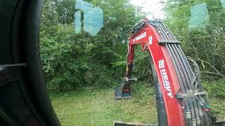 Yanmar SV40 with 36 inch Rut Manufacturing Tree Slayer