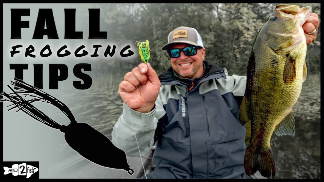 7 Frog Fishing Tips to Catch More Fall Bass in Emergent Grass