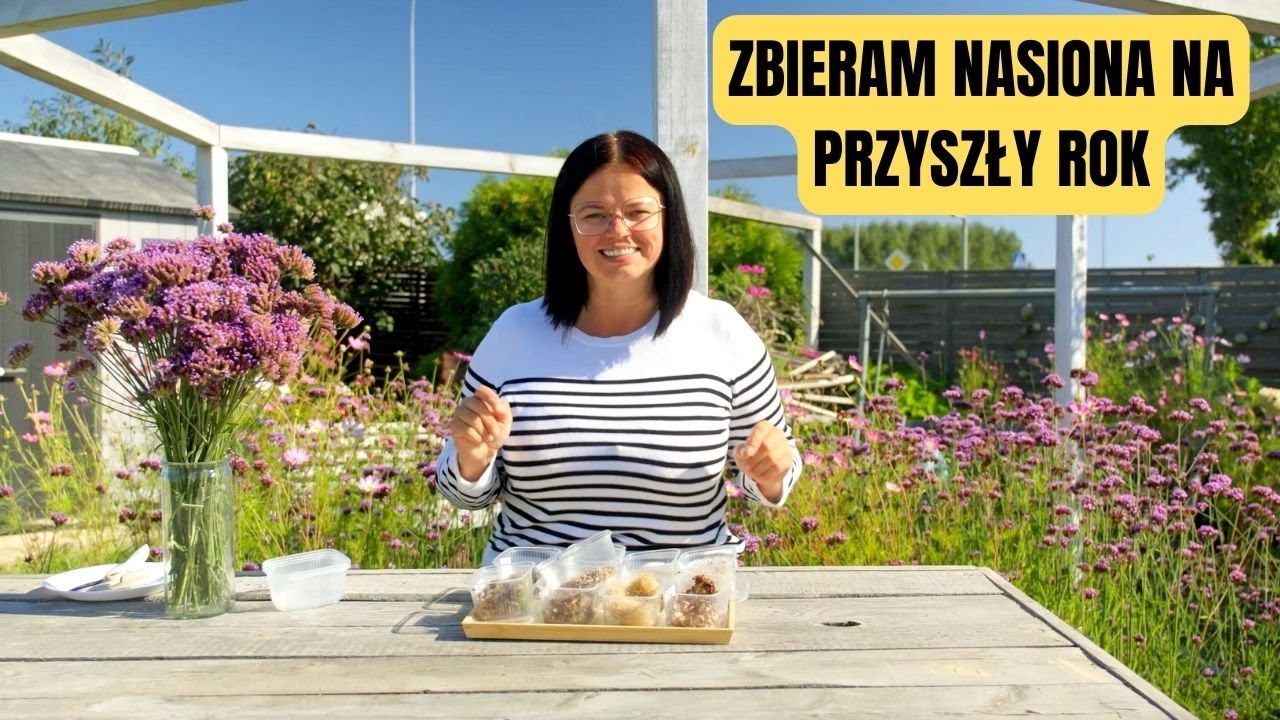 ZBIERANIE NASION NA PRZYSZŁY SEZON. JAK POZYSKAĆ NASIONA