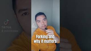 Bitcoin Forking and the history of how bitcoin cash came to being screenshot 2