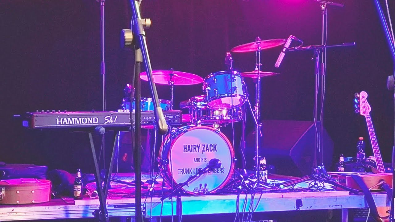 Tom Petty - Mary Jane's Last Dance (cover) 