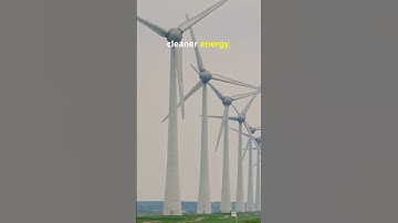 Life Cycle Assessment LCA   Measuring a Product’s True Impact