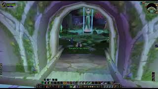 Darnassus Mage Trainer Location, Classic WoW Wotlk