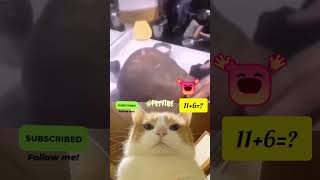 Hihihi 🤣😄 #shorts #comedy #viral  #cat #catreaction