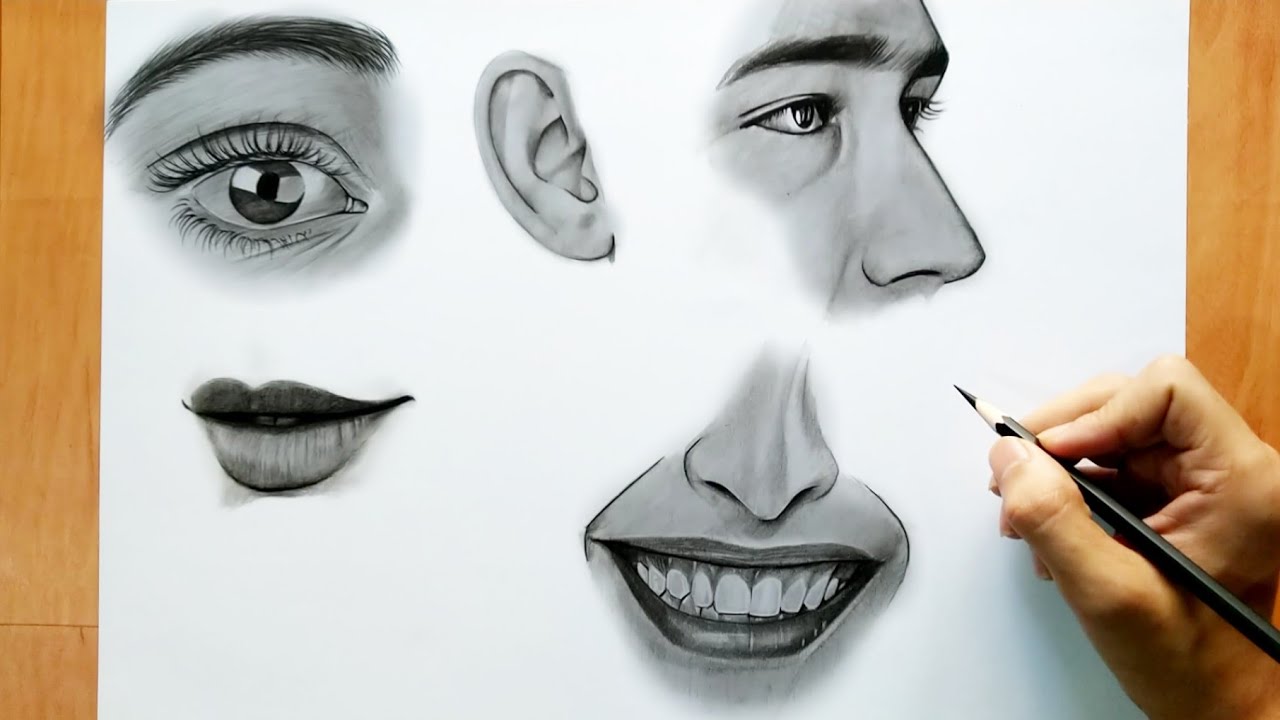 Human face features Drawing. Only 1 pencil - YouTube