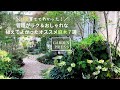 植えて15年【管理がラク&おしゃれ】シンボルツリーにおすすめ庭木7選|育てやすい庭木|植えてよかった|ガーデニング|おしゃれな庭木|