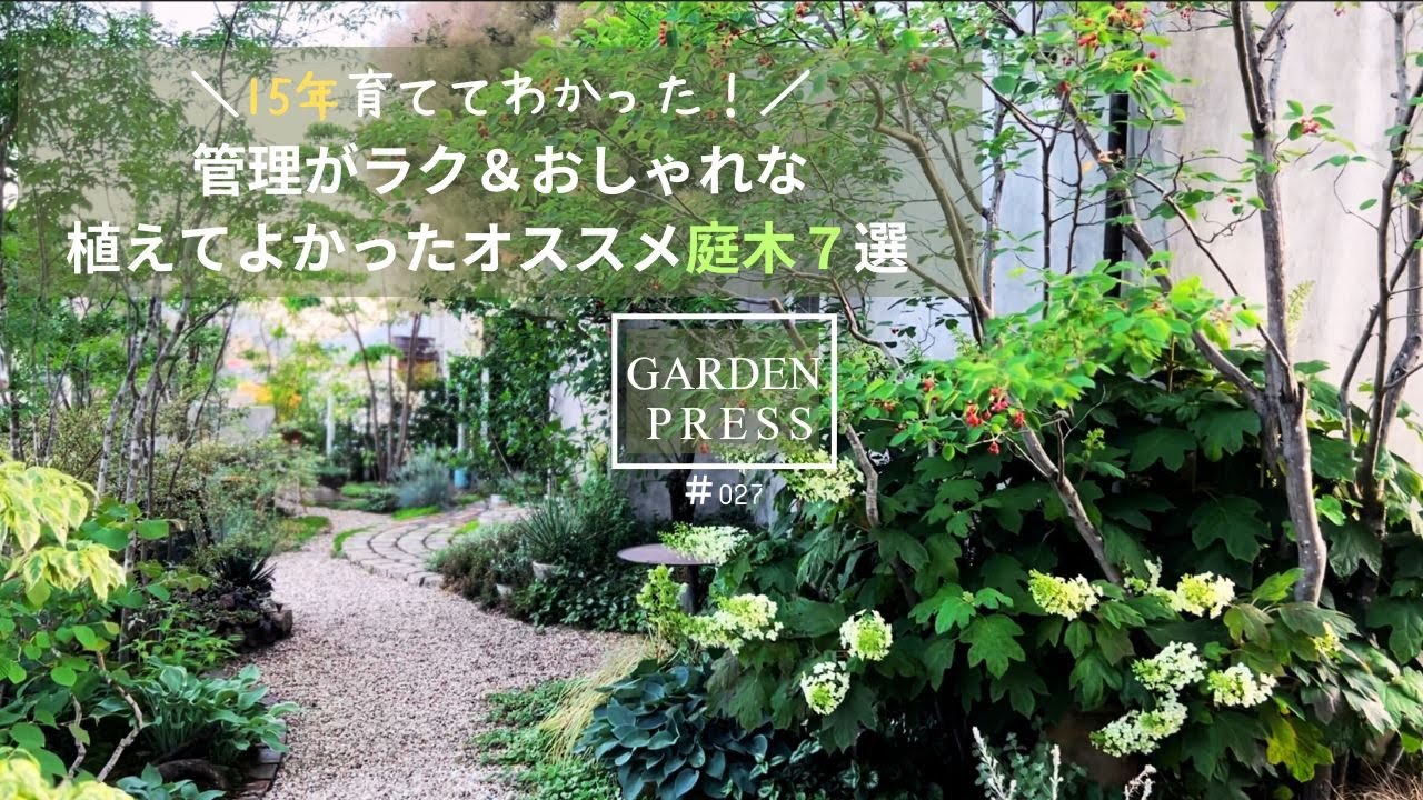 植えて15年【管理がラク＆おしゃれ】シンボルツリーにおすすめ庭木7選｜育てやすい庭木｜植えてよかった｜ガーデニング｜おしゃれな庭木｜