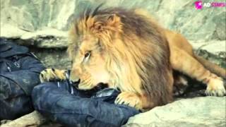 Sự khác biệt giữa người Nhật và phần còn lại qua "cái quần" - JAPO - Cổng thông tin Nhật Bản