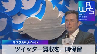 ツイッター買収を一時保留 マスク氏がツイート【WBS】（2022年5月13日）