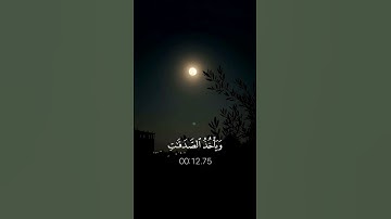 تلاوة رائعة للشيخ ياسر الدوسرى || سورة التوبة || ارح قلبك واستمع 🤌🫀