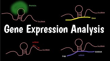 Gene Expression Analysis | Analyze Gene Expression | Cancer Gene Expression Profiling |
