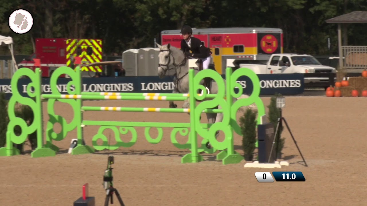 CLASS 41 - DALOMA - CHARLES STEVENS