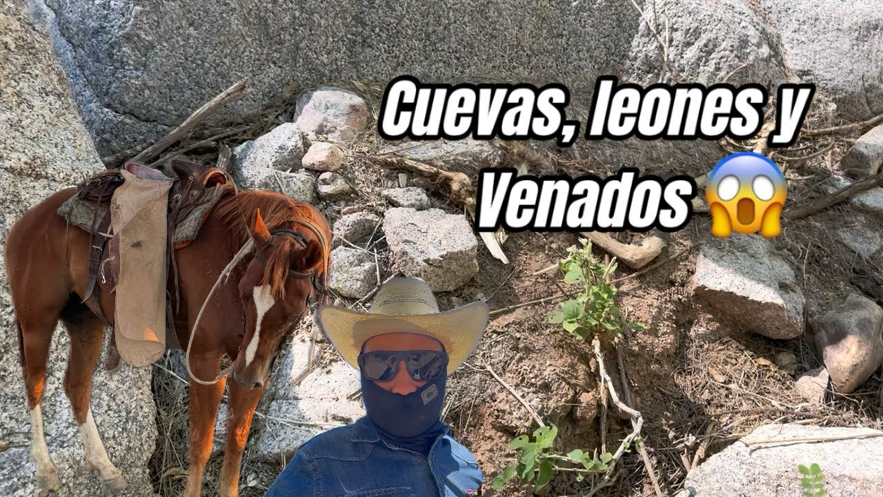 Campeando en el rancho: venados muertos, cuevas y una víbora a punto de picar al caballo