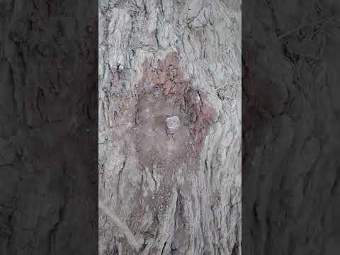 من أخطر الاسحار علي الإطلاق سحر الوتد 