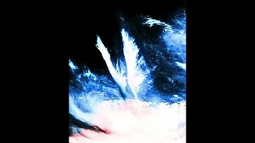 My Mind Is Eradicate