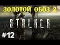 STALKER . Золотой обоз 2 - 12: Тайники на Дикой территории , Артефакт "Мох"