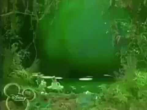 الاهلي الطحلبي