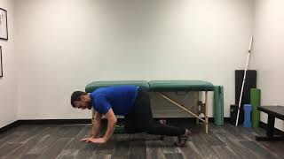 Reverse Bear Crawl