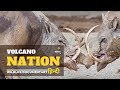 Volcano Nation - हिन्दी डॉक्यूमेंट्री | Wildlife documentary movie in Hindi, Animal Planet