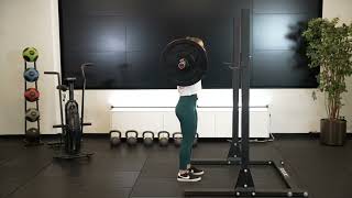 Barbell Reverse Lunge